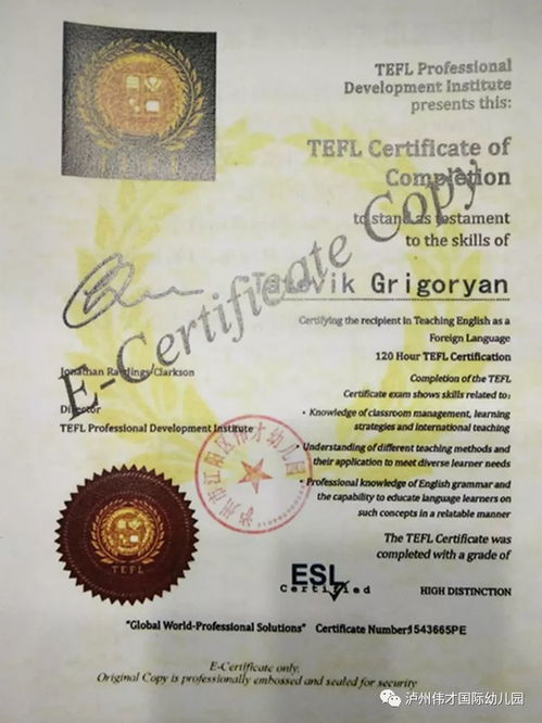 国际英语教师资格证：开启全球英语教学职业的便捷之门与高薪之路