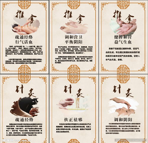 针灸推拿专业：从入门到精通，轻松掌握古老医术，开启高薪职业之路