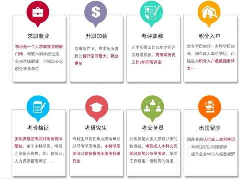 北京语言大学研究生报考全攻略：轻松掌握招生政策与专业特色，开启国际化语言学习之旅