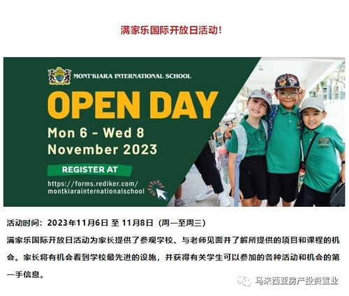 马青：马来西亚华人青年政治参与的便捷指南与快乐成长故事