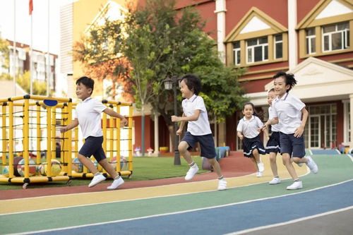 文化路小学：让孩子在快乐中成长，选择最适合的教育环境