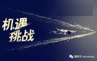 现代卓越企业如何应对快速变化？抓住机遇、应对挑战的完整指南