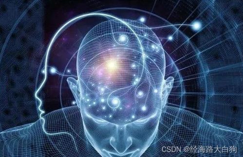 智力开发：科学方法让大脑更聪明，轻松提升思维能力与学习效率