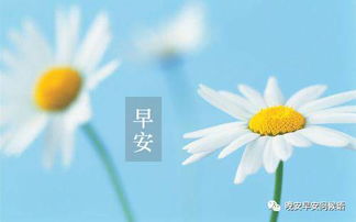 早上好日语怎么说？掌握优雅问候语「おはようございます」的发音与用法