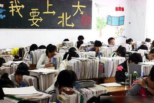 北大附中南山分校：点燃青春梦想的教育沃土，让每个孩子自然舒展成长