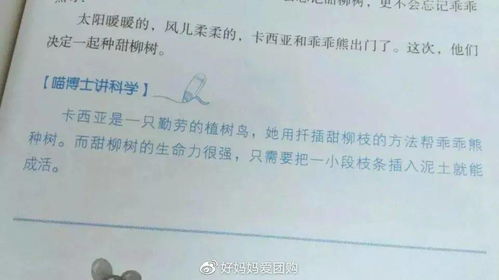 作文培训全攻略：突破写作障碍，轻松提升表达能力，让孩子爱上写作