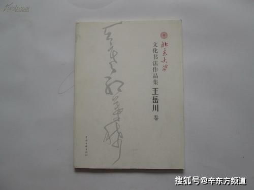 王岳川学术思想与书法艺术全解析：从文化研究到跨界探索的智慧之旅