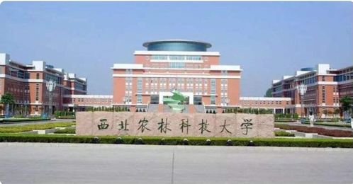 湖北科技学院专升本：专科生提升学历与就业竞争力的最佳选择