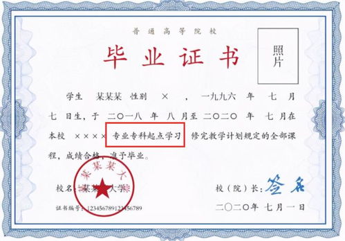 湖北科技学院专升本：专科生提升学历与就业竞争力的最佳选择