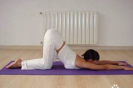 瑜伽课程适合初学者吗？如何选择适合自己的瑜伽课程，轻松入门享受身心平衡