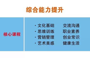 河南武校全攻略：轻松解决招生、费用、课程与未来发展难题