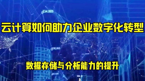 安越咨询：财务管理培训专家，助力企业财务能力提升与数字化转型