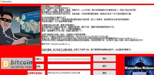 蔡萌是谁？揭秘90后内容创作者的成长历程与成功密码