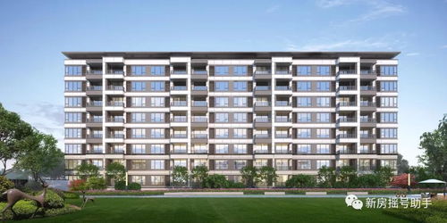 蔡萌是谁？揭秘90后内容创作者的成长历程与成功密码