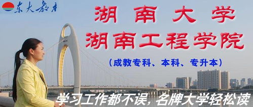 上海市洋泾中学招生政策、教学质量、特色教育全解析，助您轻松择校