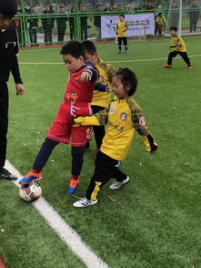 足球培训：从儿童到成人的完整指南，掌握技巧与快乐成长