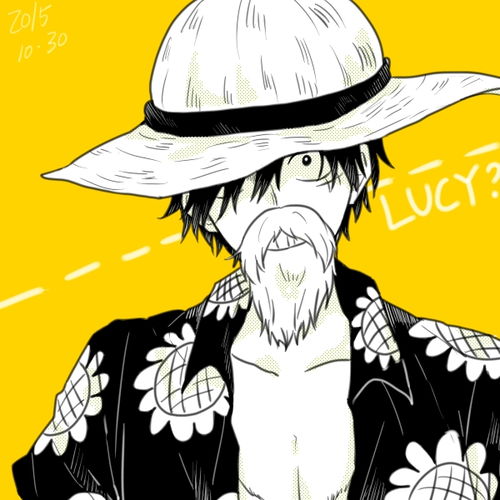 蒙奇·D·鲁夫：从草帽少年到海贼王的成长之路，揭秘橡胶果实能力与梦想追寻