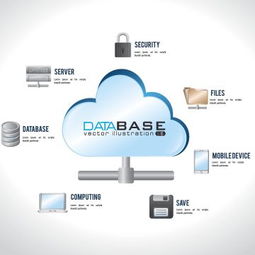 企业管理学：掌握高效管理艺术，轻松解决组织协调与资源优化难题