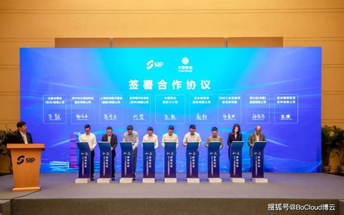 赵胜利：从技术专家到行业领袖的成长轨迹与实用创新之道