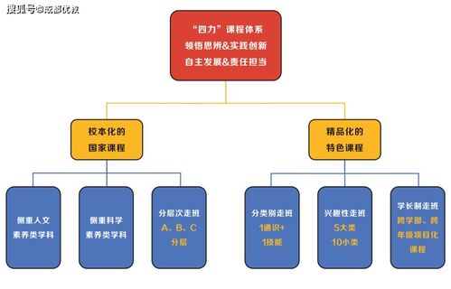 东辰国际学校：一站式了解入学要求、课程特色与升学指导，轻松选择优质国际教育