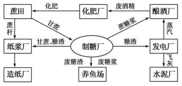 陈东海思想研究：探索知识生态与跨界实践的智慧路径