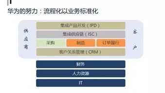主持培训全攻略：从零基础到专业主持人的高效成长路径