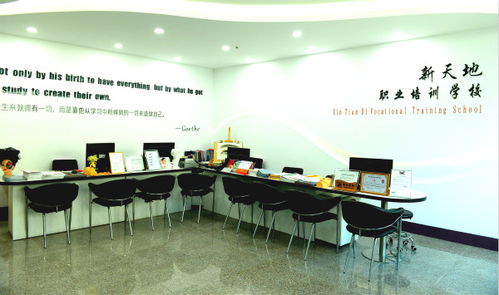 天津美术学院研究生报考全攻略：艺术殿堂的招生政策、校园体验与就业前景