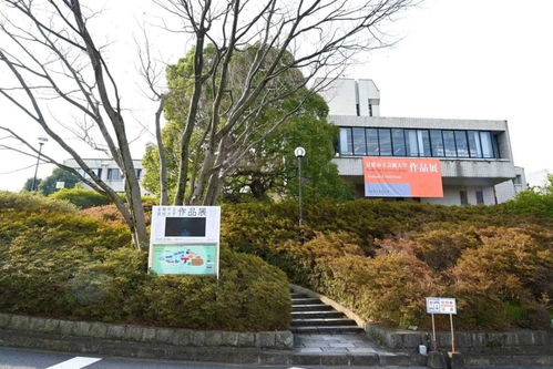 天津美术学院研究生报考全攻略：艺术殿堂的招生政策、校园体验与就业前景