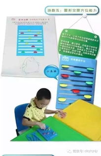 爱育幼童全脑开发课程：让孩子在快乐探索中自然成长