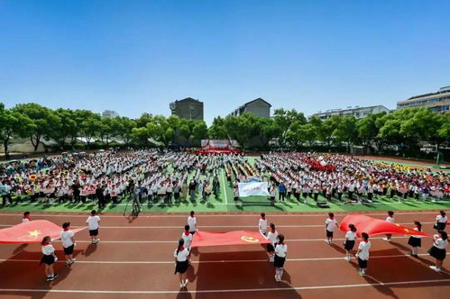学厨师要多久？3个月速成vs3年学徒，找到最适合你的高效学习路径