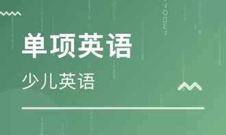 英语外教怎么选？2024最新平台对比与避坑指南，轻松找到适合你的外教老师
