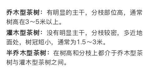 抱歉日语怎么说？掌握日语道歉用语，轻松应对各种场合避免尴尬