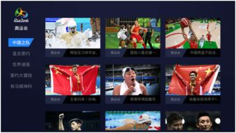 五星体育官网：解锁沉浸式观赛新体验，随时随地畅享高清直播与专业数据