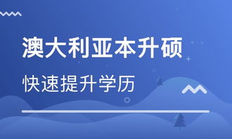 中域教育：一站式留学申请全攻略，轻松实现全球名校梦想