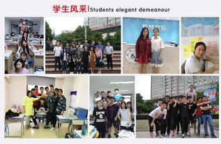 上海戏剧学院官网：一站式了解招生、专业与校园文化，轻松实现艺术梦想