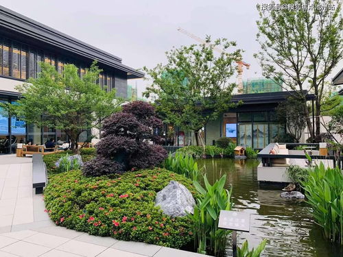 yue什么意思？从古诗词到网络流行语的完整解析，帮你快速理解这个多义词