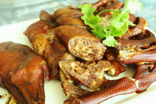 茶油鸭的营养价值与家常做法：健康美味两不误，轻松复刻传统养生佳肴