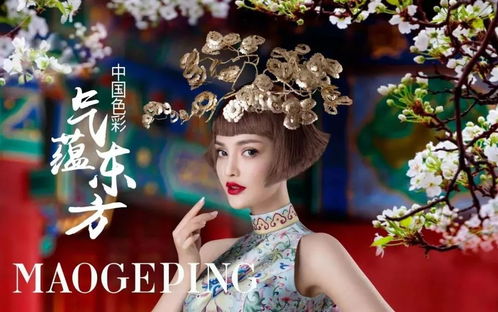 毛戈平官网购物全攻略：从惊艳浏览到完美收货的贴心体验