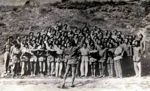 张议：三国历史中被忽视的务实将领，揭秘其军事才能与政治智慧