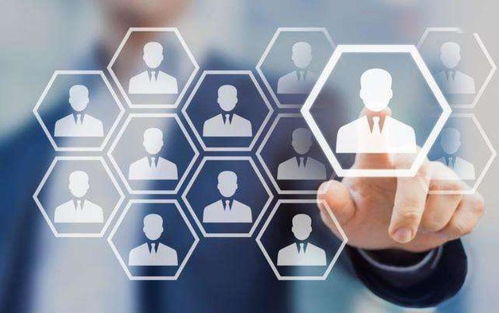 达德教育：从零基础到高薪就业的职业教育优选，轻松实现职业梦想