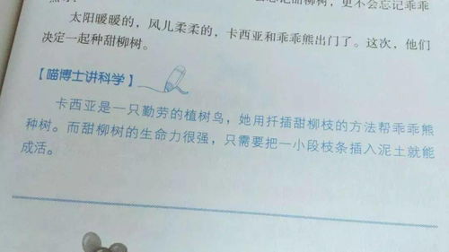 作文辅导：让孩子爱上写作，轻松提升语文成绩的实用指南