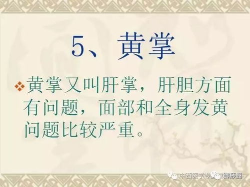 陈金柱中医养生：轻松掌握日常调理秘诀，告别亚健康烦恼
