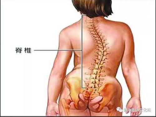 正骨推拿：轻松告别颈椎病、腰椎间盘突出，恢复骨骼健康无痛苦