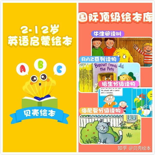 石家庄外国语小学招生条件与教学质量全解析：轻松择校，快乐成长