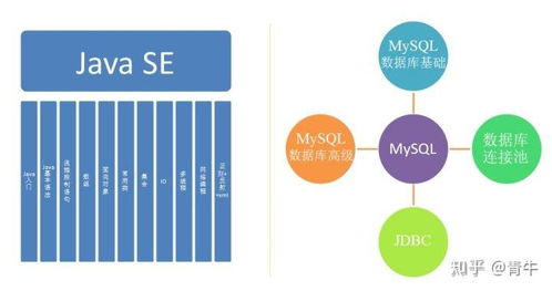 学计算机零基础入门指南：从编程小白到高薪工程师的完整路径