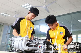 汽车修理学校：快速掌握实用技能，轻松开启高薪汽修职业生涯