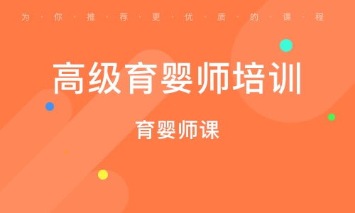 上海月嫂：新手父母的贴心导航，让育婴之旅轻松无忧