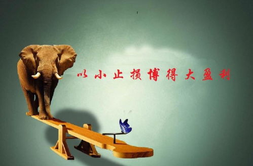 伍朝辉投资哲学：守正出奇，稳健盈利的财富指南