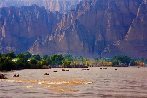 曾文水库与曾文溪流域全攻略：探索台湾西南部自然人文与生态旅游的便捷之旅