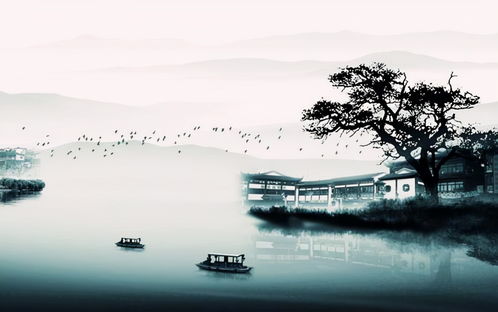 胡明华的艺术人生：从江南水乡到国际舞台的成长与成就